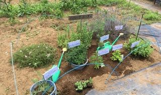 シェア畑 教室 4