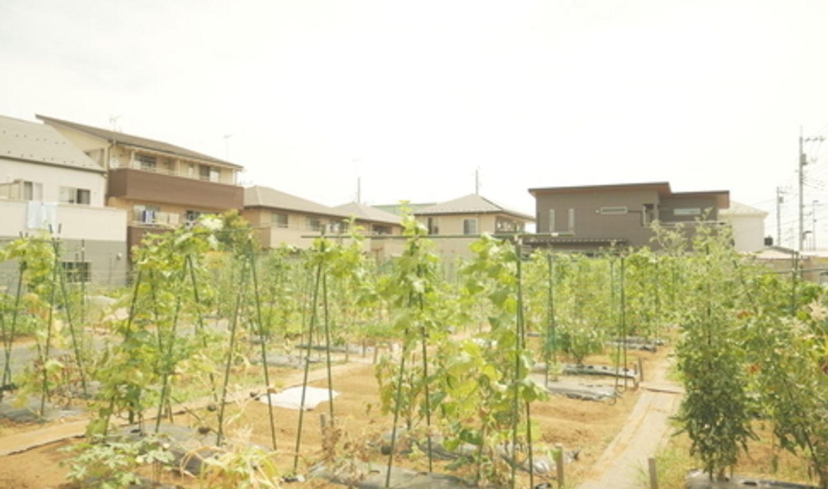 八潮駅サウスファーム4