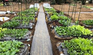 シェア畑 教室 1