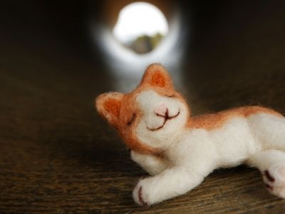 0歳から6歳まで年齢別 おすすめ知育絵本ランキング選 子供の習い事の体験申込はコドモブースター 0歳から6歳まで年齢別 おすすめ知育絵本ランキング選 子供の習い事の体験申込はコドモブースター