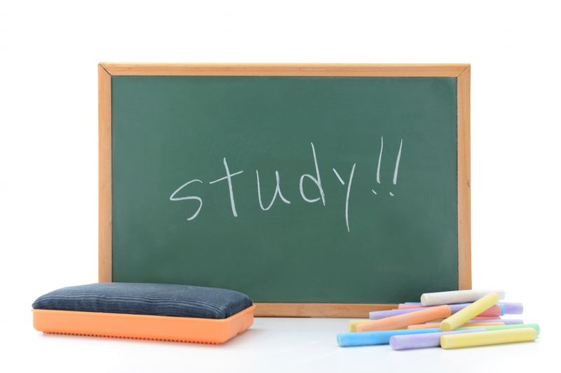 さいたま市の子供向け英会話教室17選