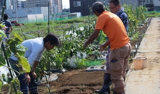 シェア畑 教室 3