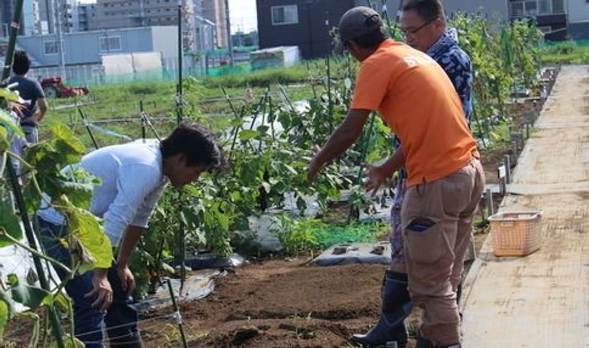 シェア畑 教室 3