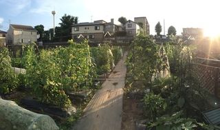 シェア畑 東有馬3