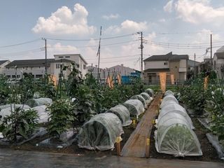 シェア畑 教室 1