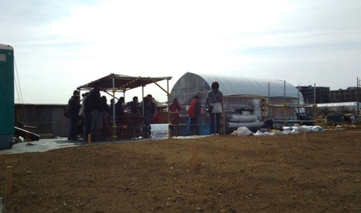 シェア畑 横浜十日市場7