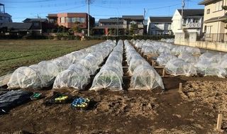 シェア畑 大宮堀の内3