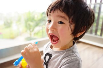 二歳児だから!今しか出来ない知育のコツとおもちゃをご紹介します!