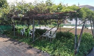 シェア畑 狛江6