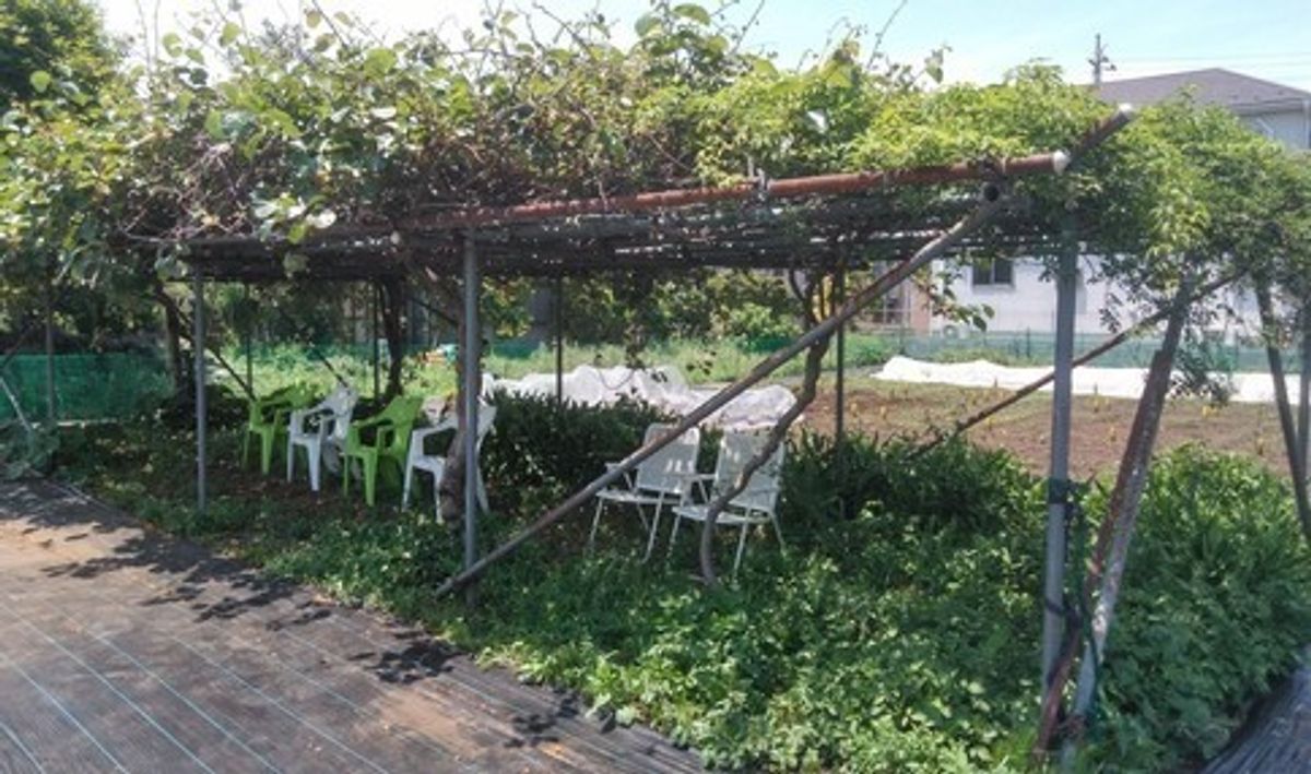 シェア畑 狛江6