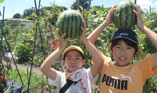 シェア畑 新横浜10