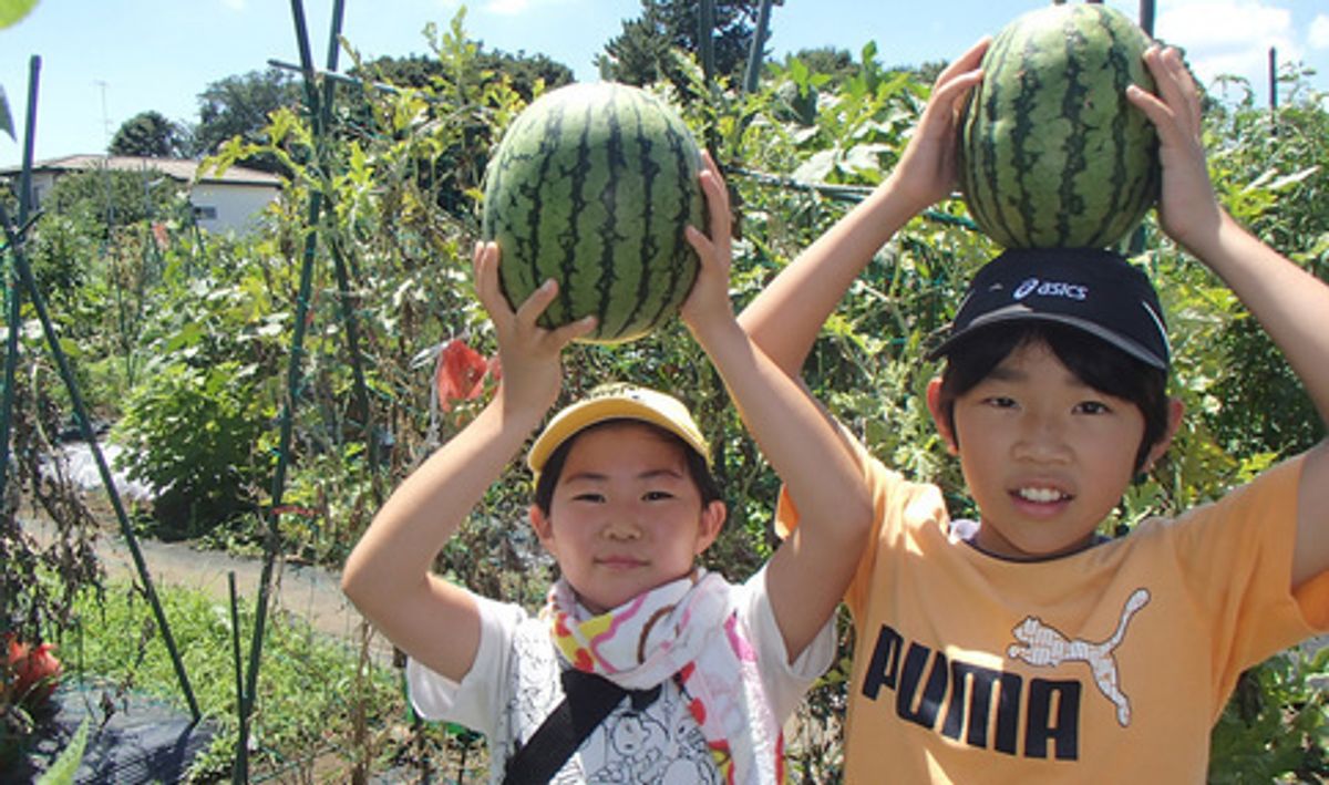 シェア畑 新横浜10