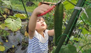 シェア畑 教室 1