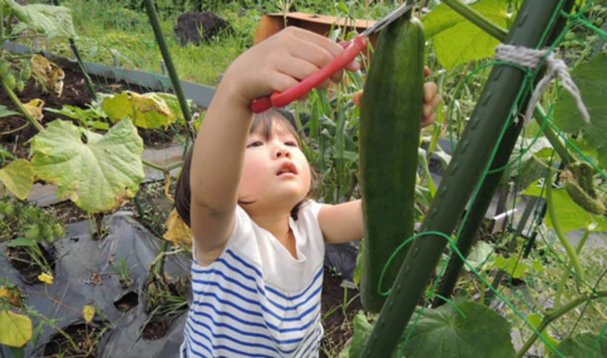 シェア畑 戸塚矢部2