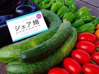 シェア畑 教室 3