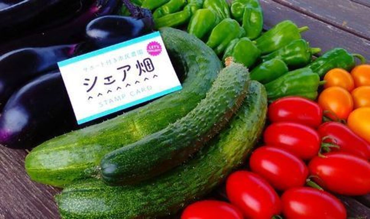 シェア畑 横浜鶴見4