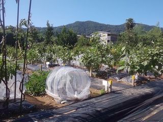 シェア畑 教室 1