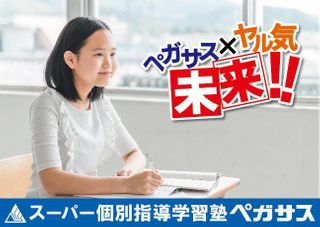 スーパー個別指導 学習塾ペガサス 教室 0