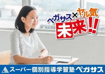 スーパー個別指導 学習塾ペガサス つきのわ駅前教室