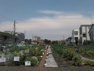 シェア畑 教室 1