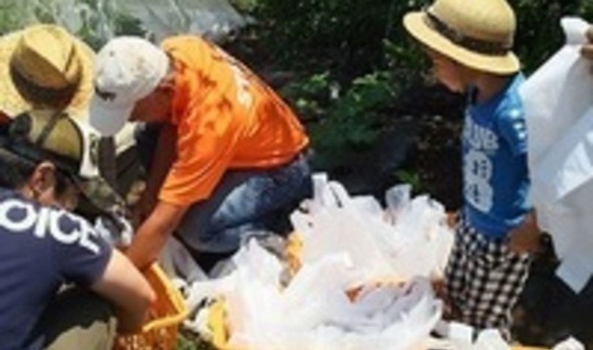 シェア畑 千葉検見川8