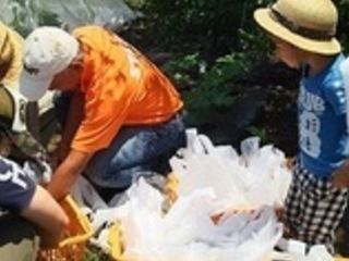 シェア畑 千葉検見川8