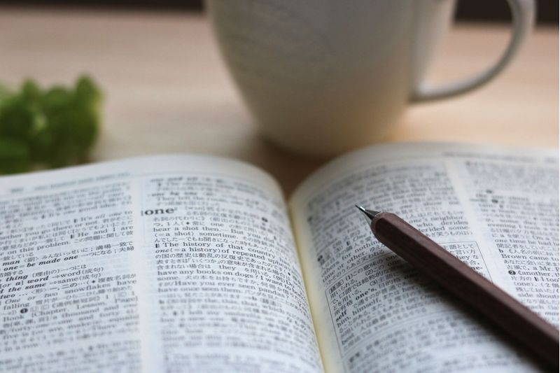 浜松市の子供向け英会話教室19選