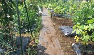 シェア畑 戸塚矢部7