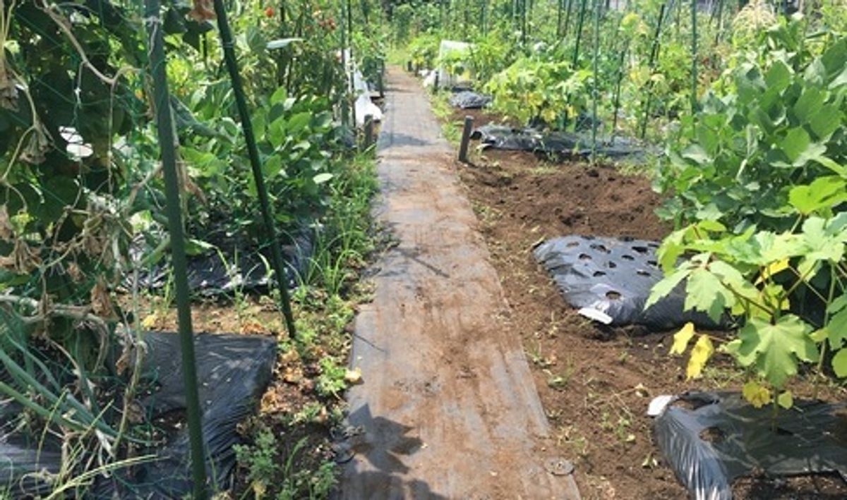 シェア畑 戸塚矢部7