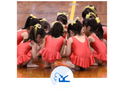 幼体連スポーツクラブ 新体操クラブよこやまリズムダンス 教室画像2