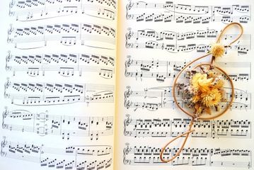 武蔵小金井駅周辺で探す子供ピアノ教室4選。柔軟な対応の個人レッスン!