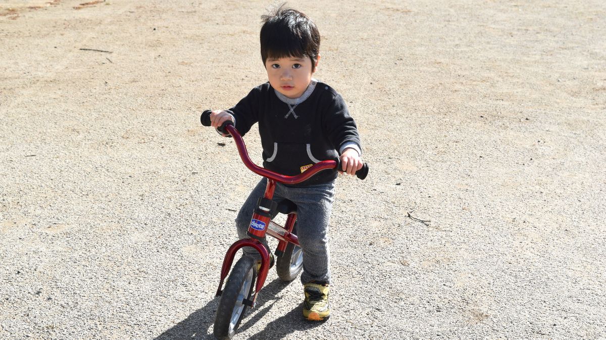 産経学園【生け花】 奈良登美ヶ丘校