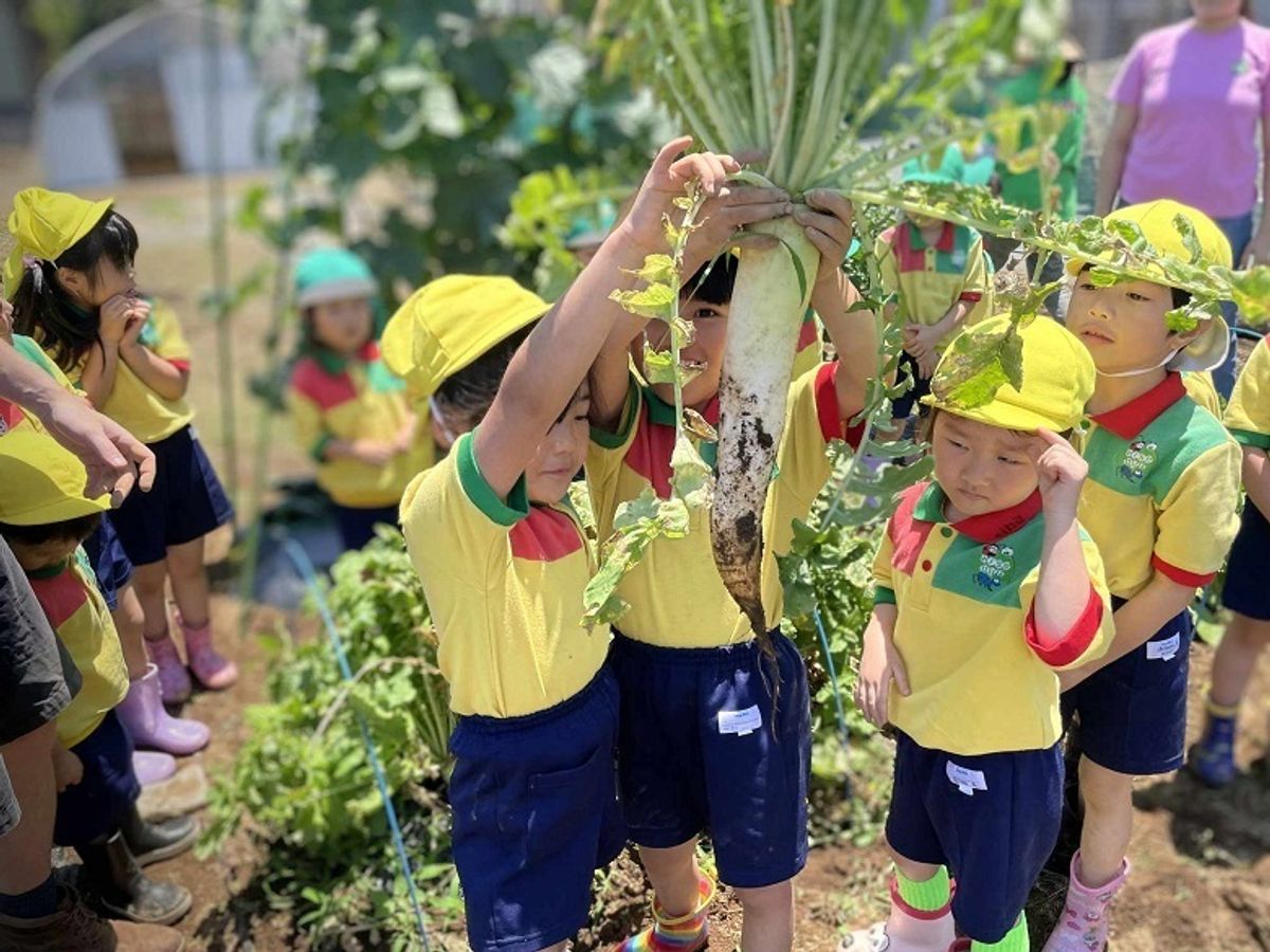 ワイズバグ イングリッシュ8
