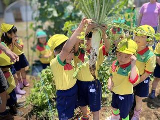 ワイズバグ イングリッシュ8