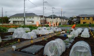 シェア畑シェア畑 久我山駅前 教室画像1