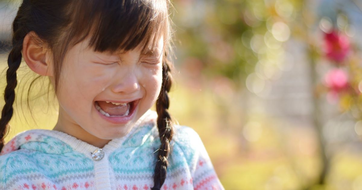 3歳からの習い事 嫌がる時にはどうする 何が人気 子供の習い事の体験申込はコドモブースター 3歳からの習い事 嫌がる時にはどうする 何が人気 子供の習い事の体験申込はコドモブースター