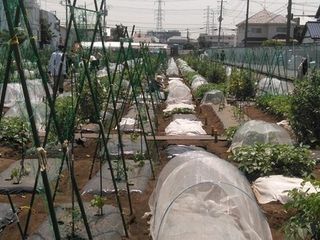 シェア畑 教室 4