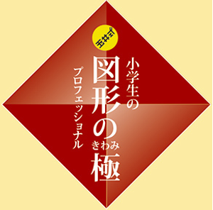 玉井式 図形の極 スクール21 春日部教室の口コミ 料金 体験申込 子供の習い事口コミ検索サイト コドモブースター