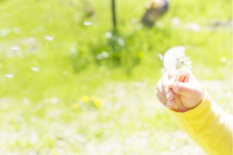 東進こども英語塾の口コミ 評判は パパママ 子どもからの声も 子供の習い事の体験申込はコドモブースター