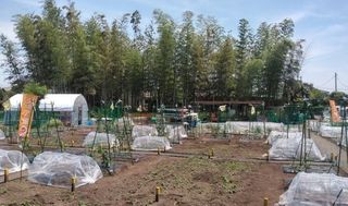 シェア畑 狛江7