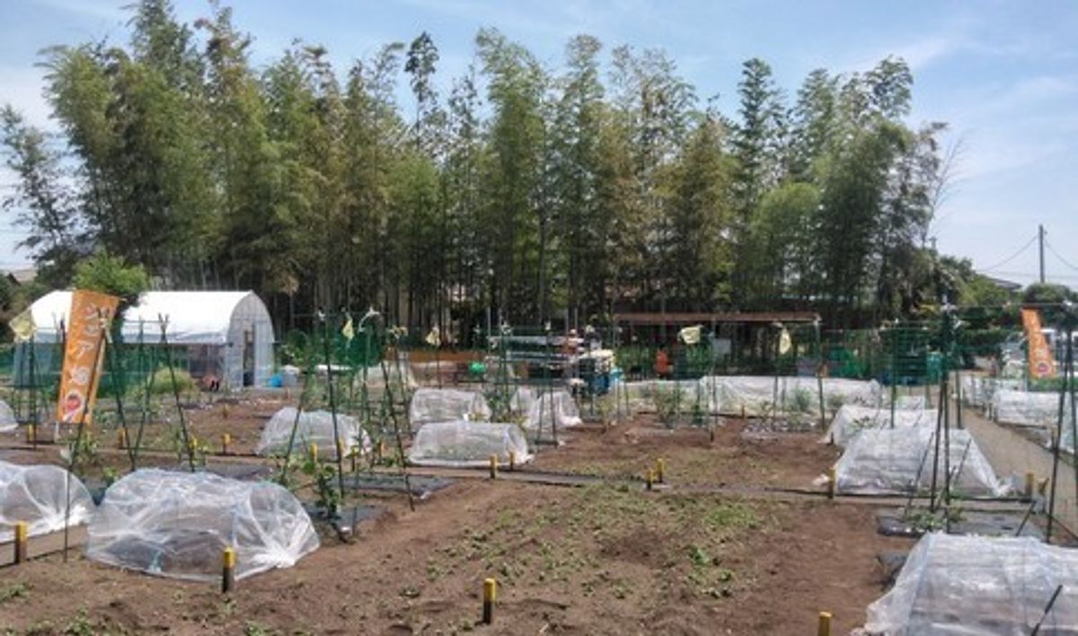 シェア畑 狛江7