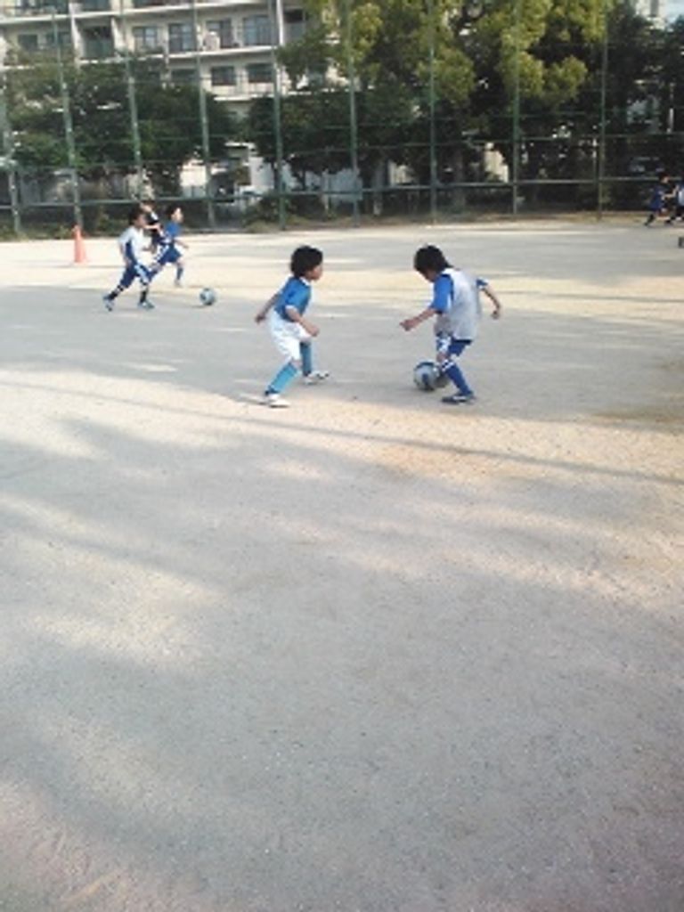 日本スポーツ夢クラブ センアーノ神戸西宮スクールの写真 口コミ 体験申込 子供の習い事口コミ検索サイト コドモブースター