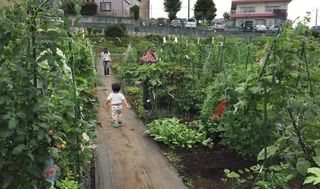 シェア畑シェア畑 東有馬 教室画像1