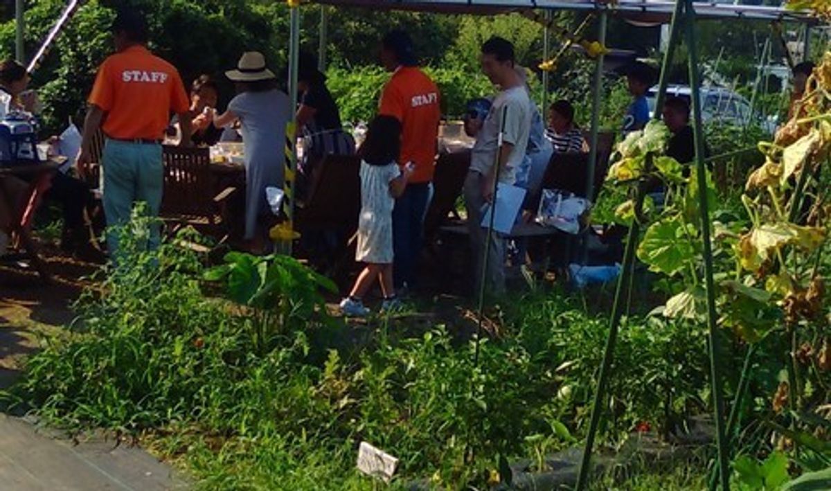 シェア畑 美しが丘11