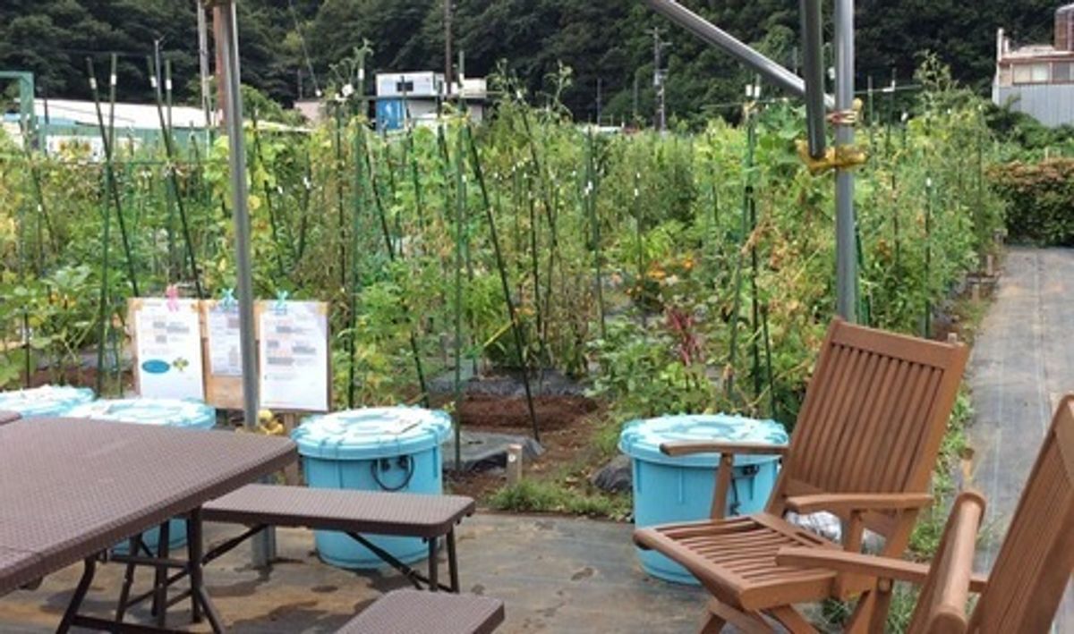 シェア畑 戸塚名瀬7