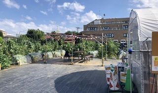 シェア畑 教室 4