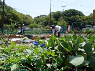 シェア畑 教室 1