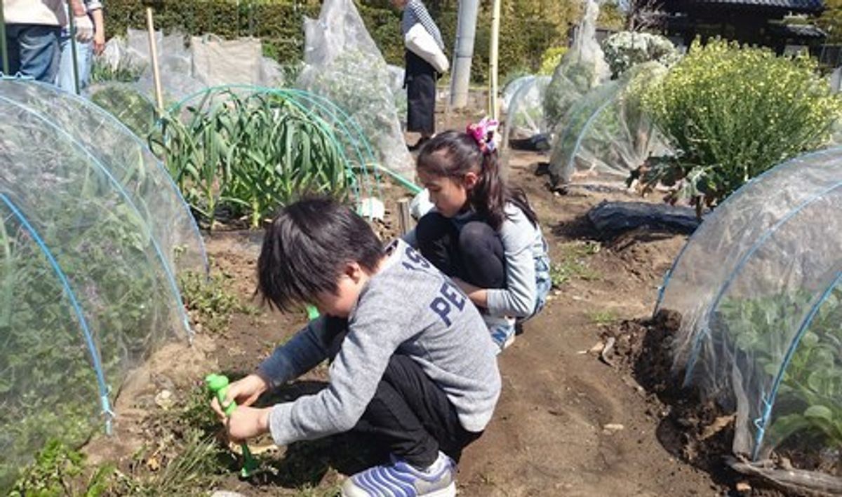 シェア畑 川口11