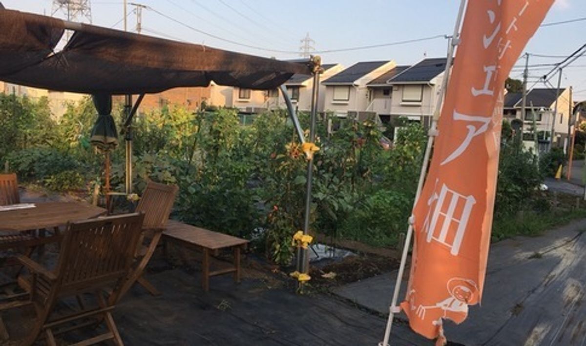 シェア畑 深大寺9