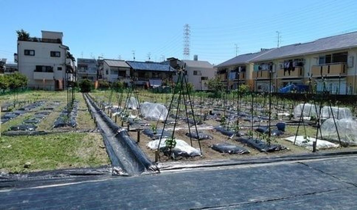 シェア畑 門真2